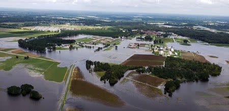 Aerial view of farms flooded after the passing of Hurricane Florence in eastern North Carolina, U.S., September 17, 2018. REUTERS/Rodrigo Gutierrez
