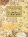 <p><strong>HarperCollins Narnia</strong></p><p>amazon.com</p><p><strong>$60.81</strong></p><p>If you're missing the magic of Harry Potter, look no further than the seven books in the Chronicles of Narnia series. Join the four Pevensie siblings, Edmund, Peter, Susan, and Lucy, as they discover the world of Narnia, filled with talking animals and mythical creatures and the awe-inspiring Aslan the lion.</p>