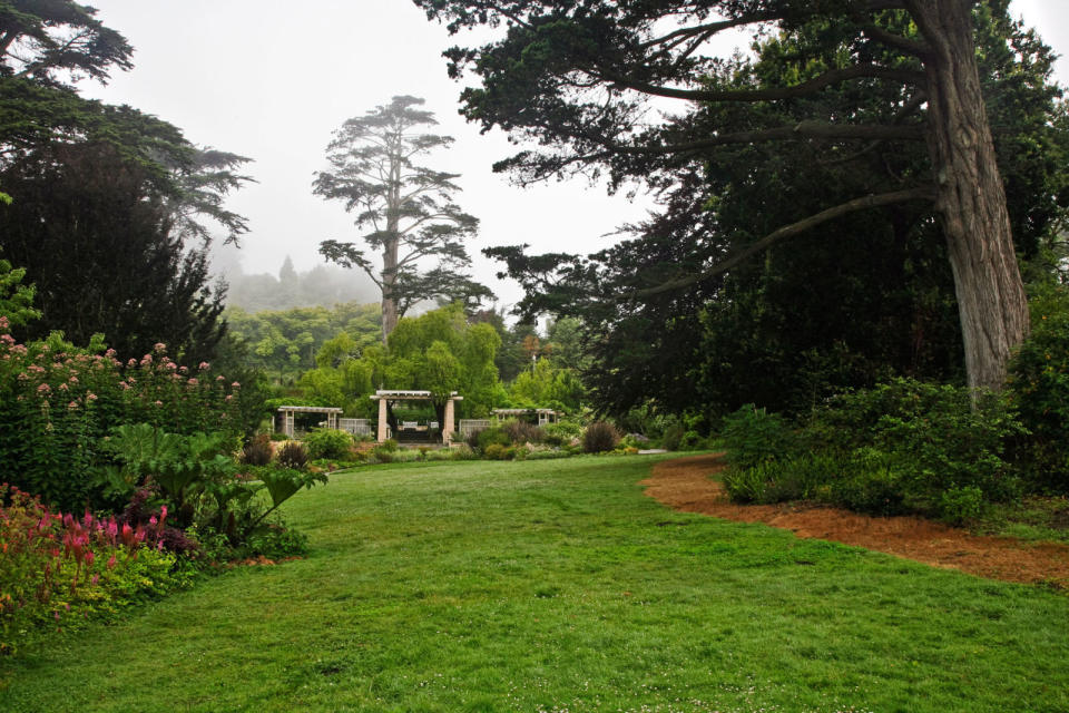 San Francisco Botanical Garden