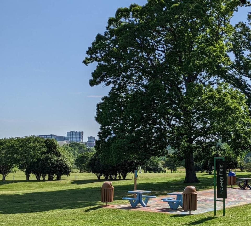 Cara Lewis’ favorite tree in the Triangle is in Dix Park.
