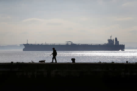 A man walks his dog as the Rio Arauca oil tanker sits in the Tagus river, in Lisbon, Portugal February 7, 2019. Picture taken February 7, 2019. REUTERS/Pedro Nunes