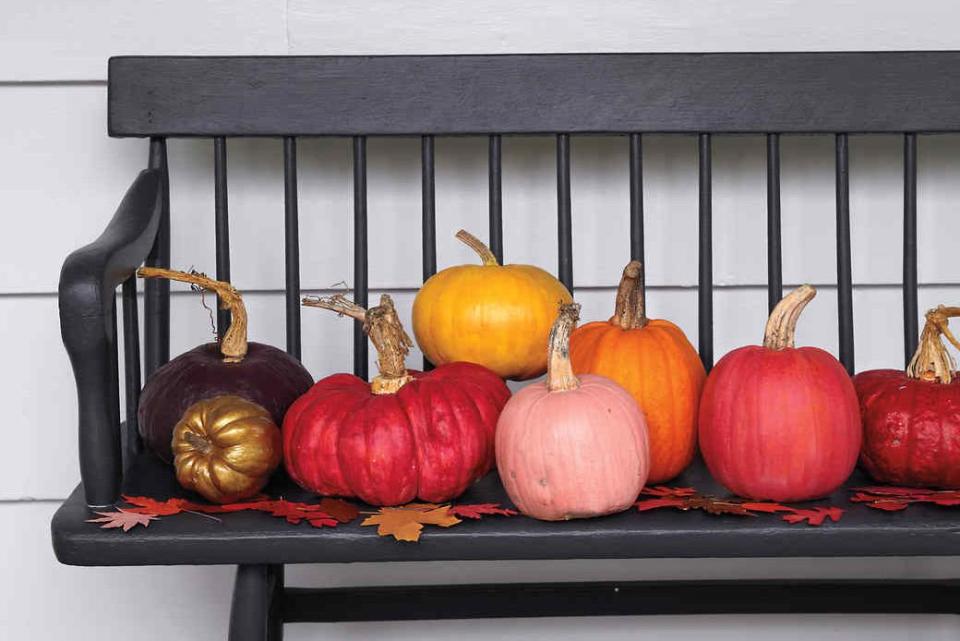 Painted Pumpkins