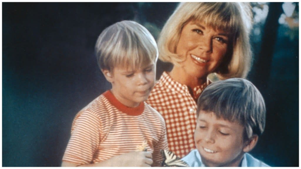 The Doris Day Show