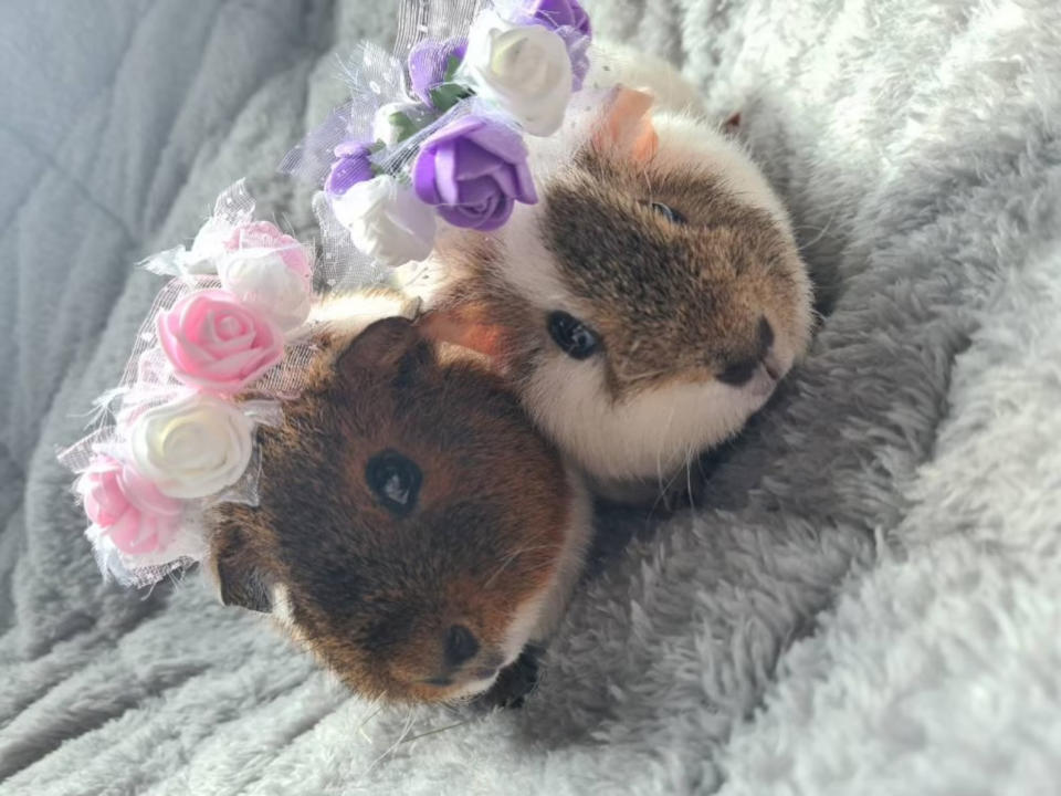 Flower Girls