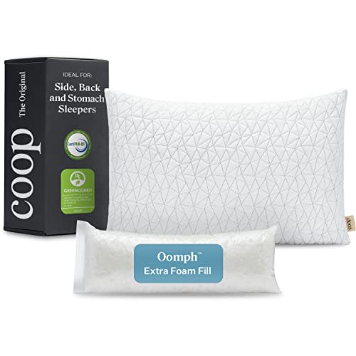 Coop Home Goods Original Loft Pillow (Amazon / Amazon)
