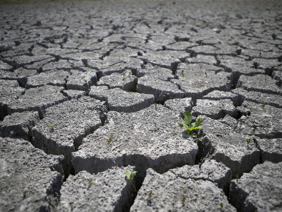 Agriculture will suffer if land degradation continue at current rates, particularly in India, China and sub-Saharan Africa: AFP/Getty