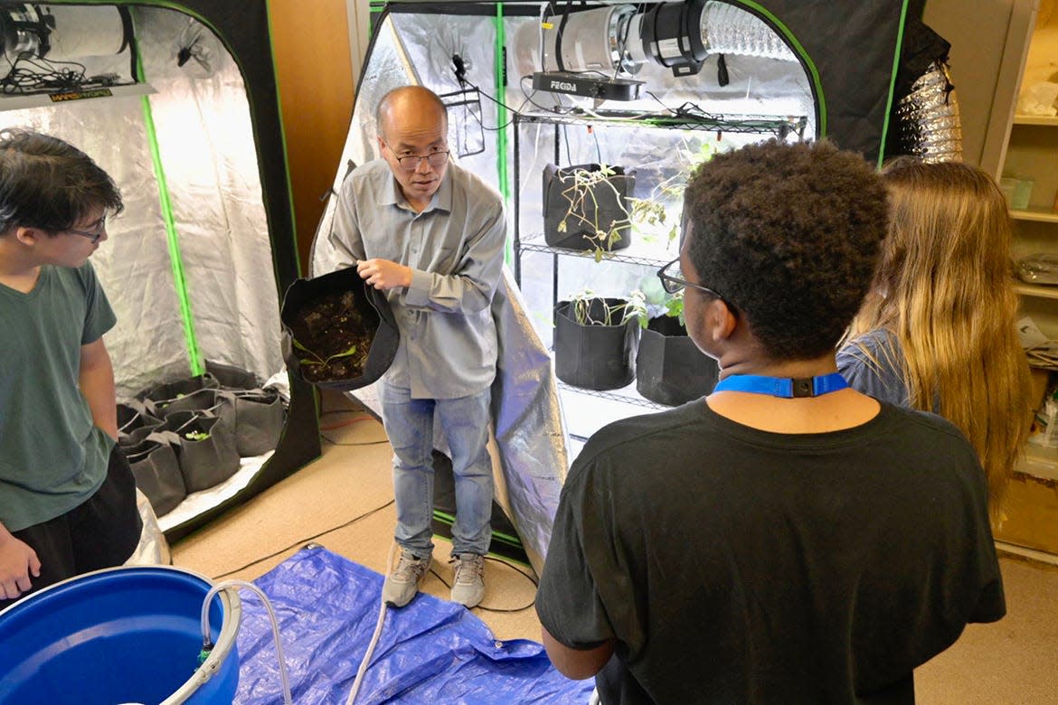 Middle Tennessee State University engineering technology assistant professor Hongbo Zhang, center, explains to College of Basic and Applied Sciences STEM summer camp about his ultraviolet light research in grow tents in the Voorhies Engineering Technology Building. More than 70 high school students attended the second-year camp June 19-23.