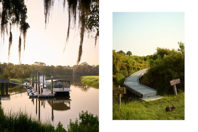 <p>Lindsey Harris Shorter</p> From left: The dock on Little St. Simons Island; a rabbit near a walkway to a wildlife-watching blind on Little St. Simons.