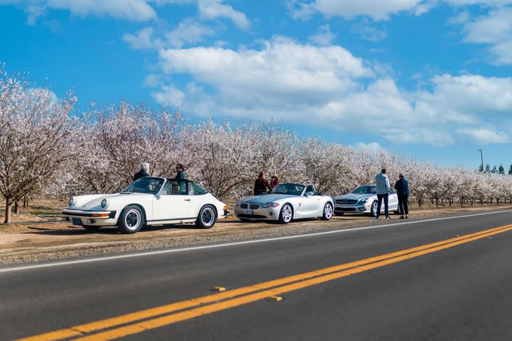 Cruise past thousands of almond trees with white blossoms in spring at Modesto