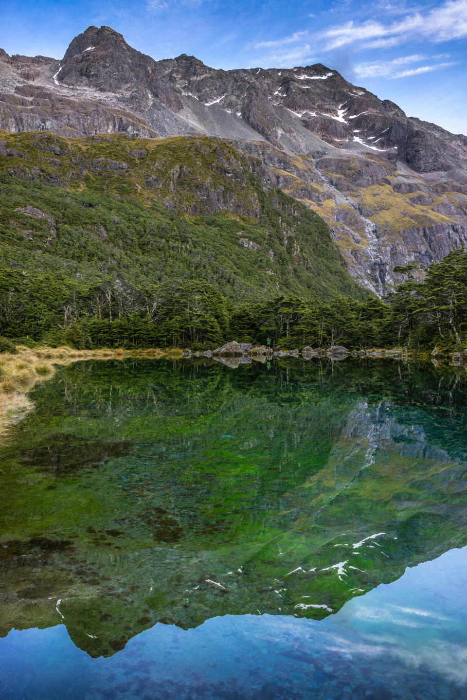 Nelson, New Zealand. Photo: Getty Images