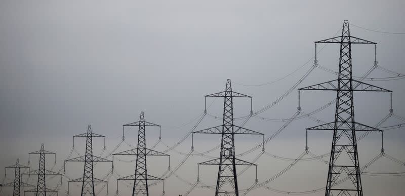 FILE PHOTO: Row of electricity pylons near Ellesmere Port