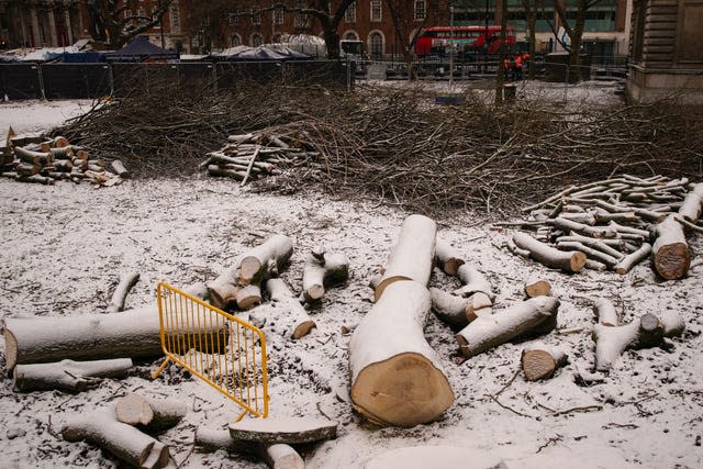 Wood from felled trees lies on the ground at the site of the HS2 Rebellion encampment in Euston Square Gardens (Aaron Chown/PA)