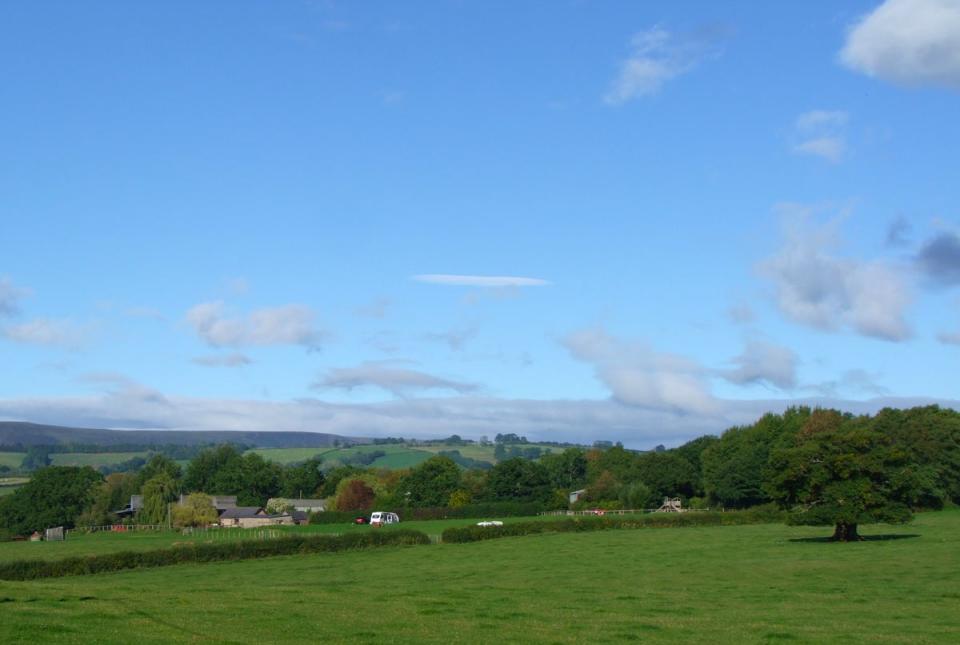 Kids will love this campsite’s “secret dens” and Woodland Adventure Trail (Caroline Mills)