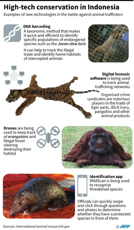 Graphic on hi-tech conservation measures deployed in Indonesia. For an AFP Focus moving March 11