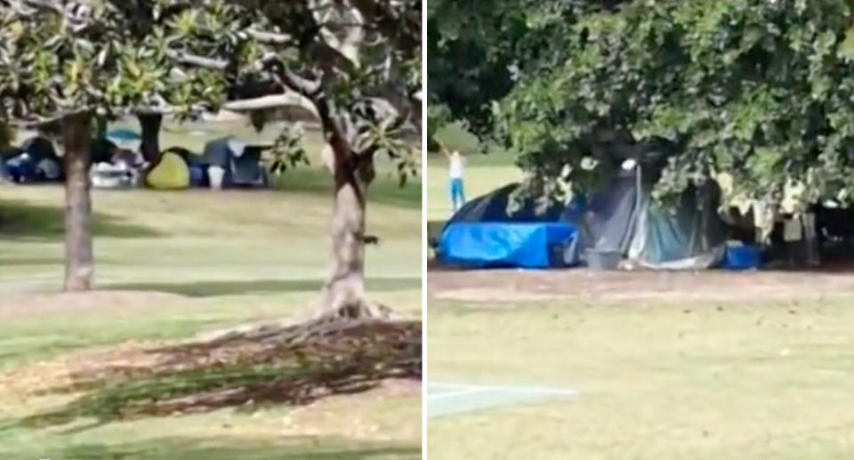 Two photos of tents set up by rough sleepers at Musgrave Park in South Brisbane, Queensland.