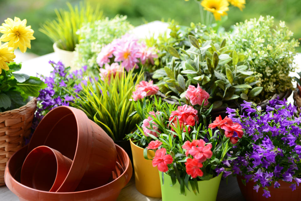 Create the most magical place to sit this summer with these amazing finds. (Source: iStock)