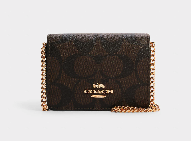 Mini Wallet On A Chain In Signature Canvas. Image via Coach Outlet.