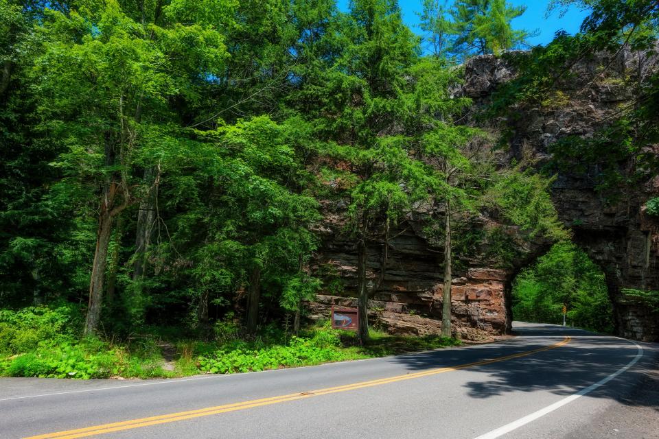 Ubicado en el suroeste de Virginia, Bristol ofrece a las familias destinos al aire libre como el Bosque Nacional Cherokee, en la foto, y el Sendero de los Apalaches.