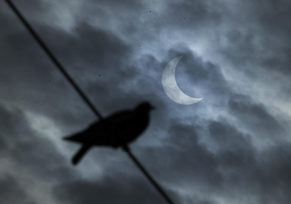 A bird sits on a wire as a partial solar eclipse is seen in the sky in Hyderabad, India, Thursday, Dec. 26, 2019. (AP Photo/Mahesh Kumar A.)