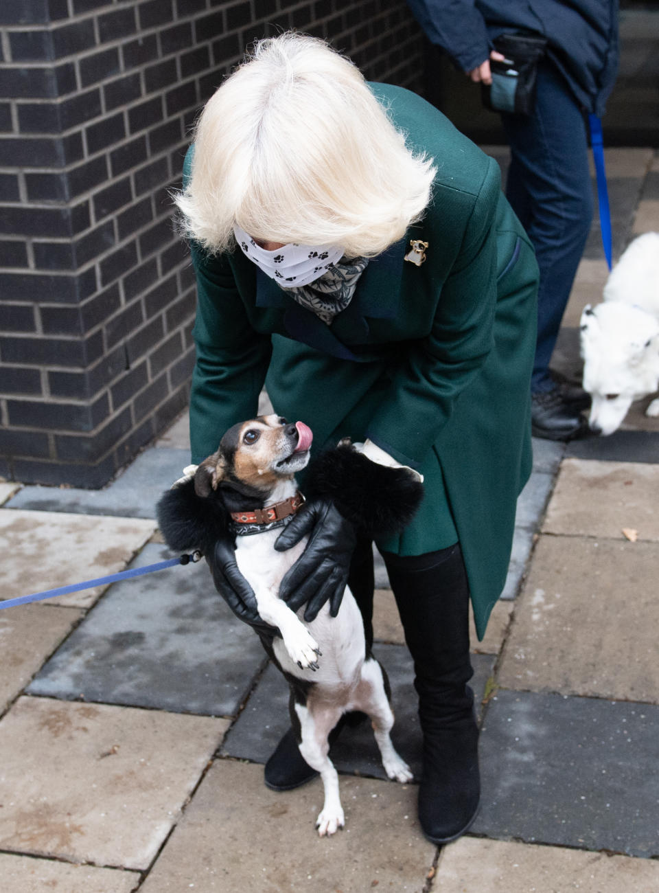 WINDSOR, ENGLAND - DECEMBER 09: Camilla, Duchess of Cornwall with her dog Beth as she visits Battersea Dogs Home in Windsor on December 09, 2020 in Windsor, United Kingdom. (Photo by Samir Hussein/WireImage)