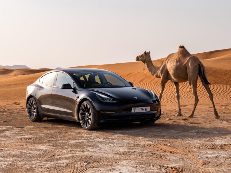 The Tesla Model 3 parked in a desert next to a camel.