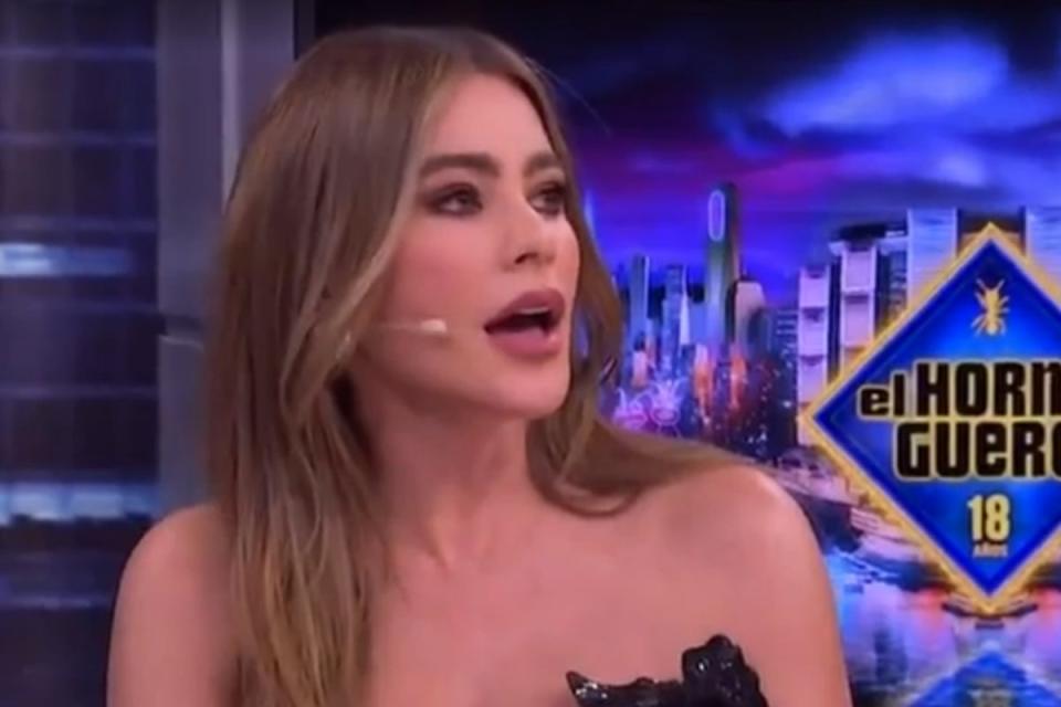 Sofia Vergara takes on an interviewer (YouTube)