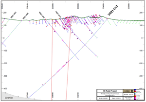 Cross Section with VB21-012