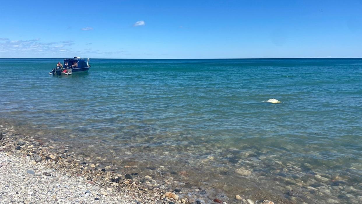 <div>FOX6 crews spotted the sonar boat, 'Bruce's Legacy' just a little way from the shoreline near Warnimont Park on Friday, April 19. A remote vehicle is in the water.</div>