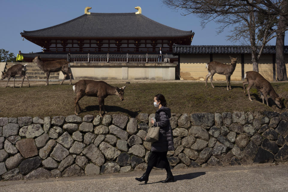 Ciervos pastan junto al templo Kofukuji de Nara (Japón). (Foto: Jae C. Hong / AP).