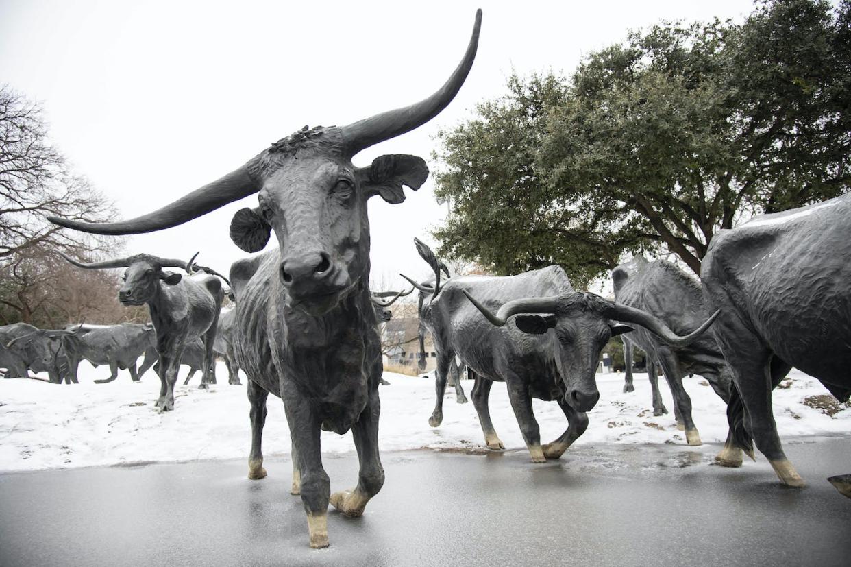 Snow on cattle drive sculptures in Dallas after a winter storm, Feb. 3, 2022. <a href="https://www.gettyimages.com/detail/news-photo/snow-lies-on-the-ground-and-on-the-backs-of-sculptures-at-news-photo/1238170684" rel="nofollow noopener" target="_blank" data-ylk="slk:Emil Lippe/Getty Images;elm:context_link;itc:0;sec:content-canvas" class="link "> Emil Lippe/Getty Images</a>