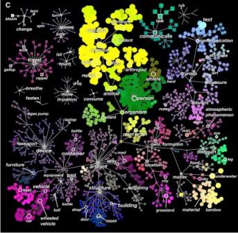 Semantic Space. Image: Gallant lab, UC Berkeley