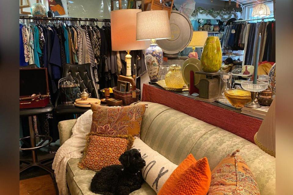 This charming store in Elizabeth is home to theatrical dresses, eclectic home decor, striking jewelry, and on occasion, a friendly dog. Kayleigh Ruller