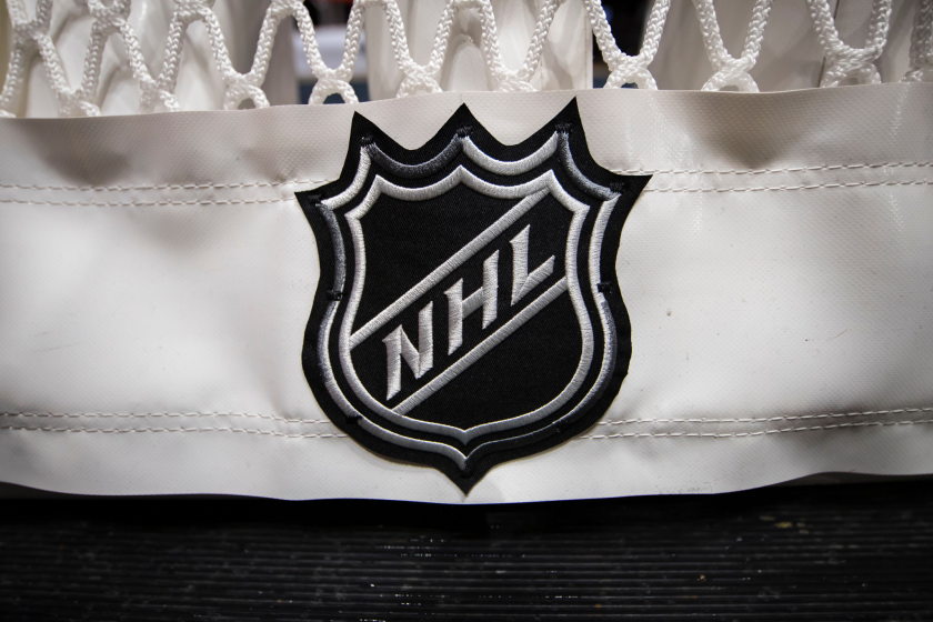 WASHINGTON, DC - OCTOBER 16: A detailed view of the NHL logo on the back of the goal netting.