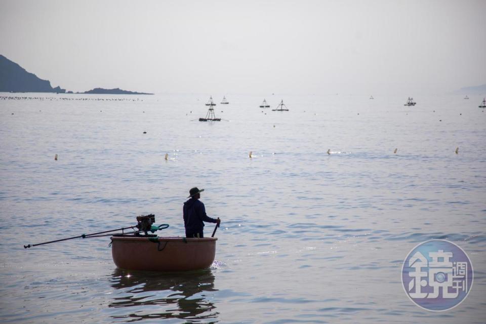 海邊可見到許多捕小卷船，漁夫乘著傳統竹筏出海去。