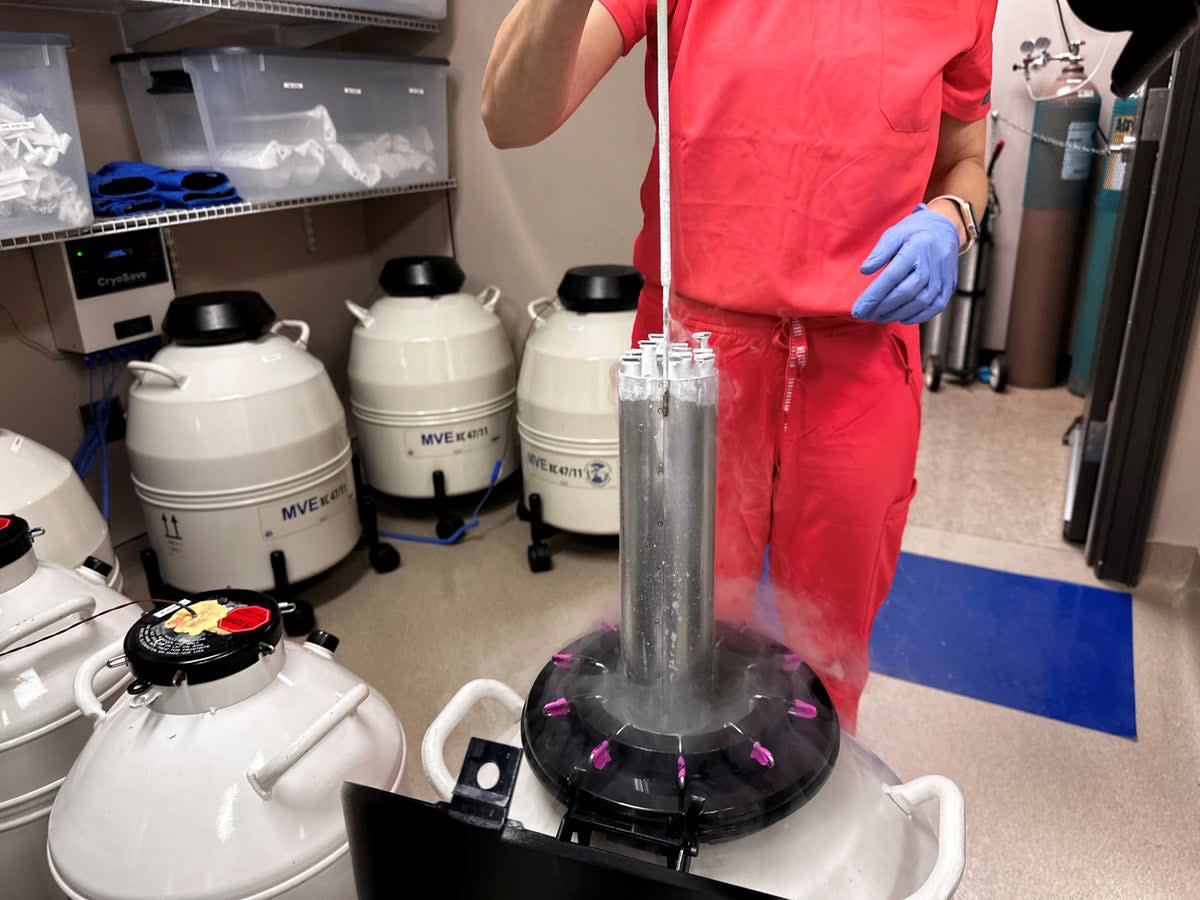 Lynn Curry, nurse practitioner for Huntsville Reproductive Medicine, lifts frozen embryos out of IVF cryopreservation dewar in Madison, Alabama, on 4 March. (REUTERS)