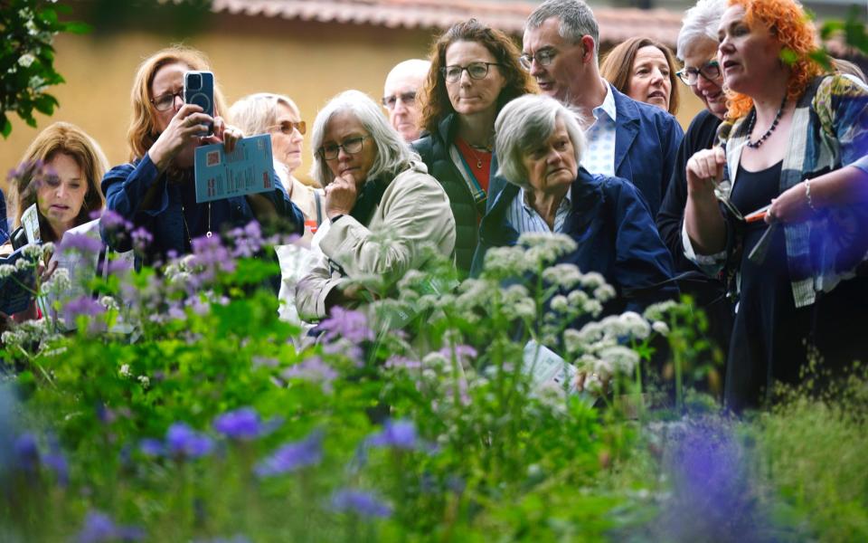 Guests admiring the winning Forest Bathing Garden