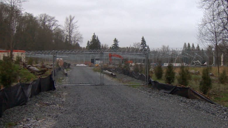 Proposed marijuana grow-op will overtax water supply, Maple Ridge residents say