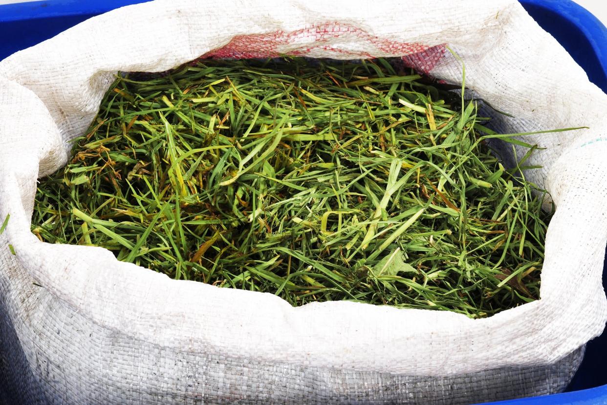 grass clippings in bag