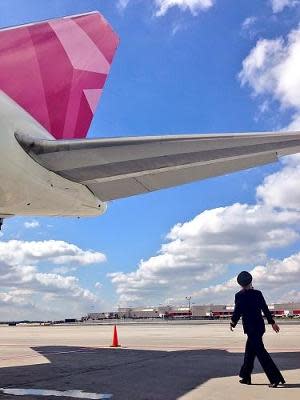 pink plane delta