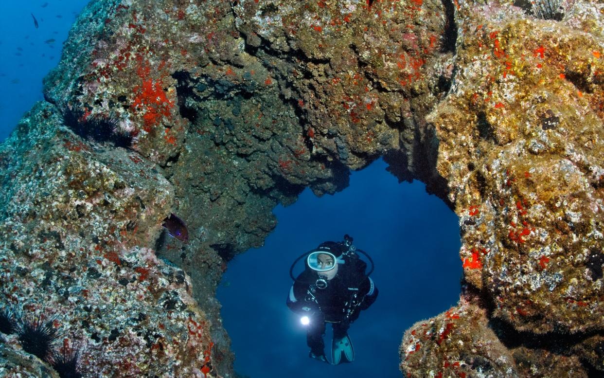 Madeira is a lesser-known option for diving - This content is subject to copyright.