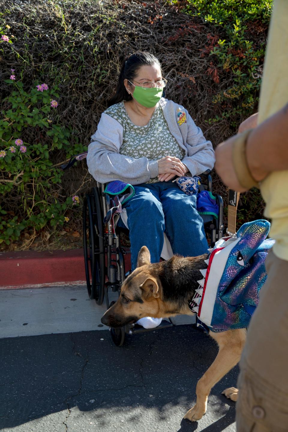 Indio Nursing and Rehabilitation Center resident Priscilla Alvarez watches a pet parade organized by members of the Women's Club of Indio outside the nursing home in Indio, Calif., on Saturday, October 31, 2020. 