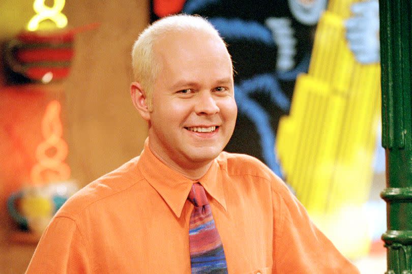 James Michael Tyler as Gunther on the show Friends