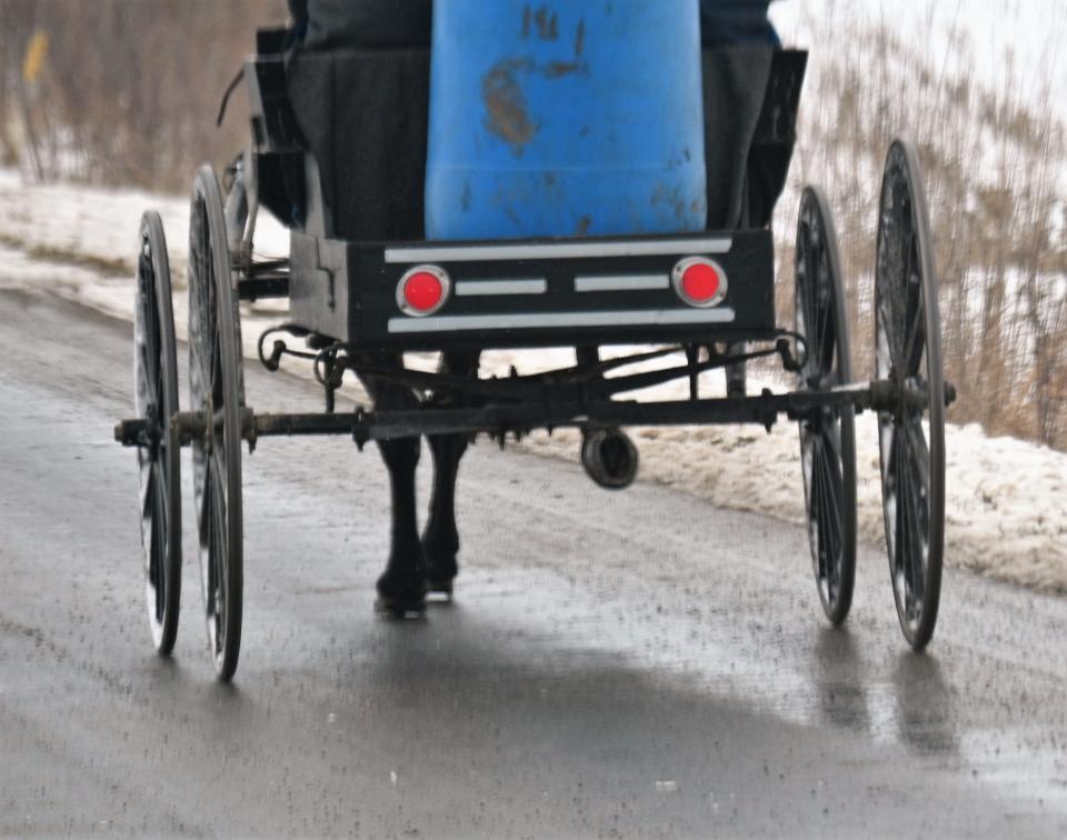 Amish buggies in California Township usually have reflector tape and reflectors like this one on Copeland Road in January.