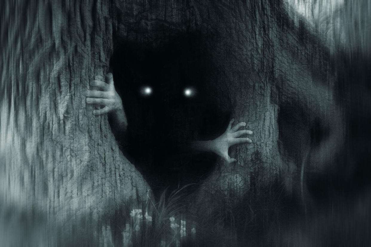 A spooky horror concept of a monster with glowing eyes, hiding in a tree trunk, in a dark spooky forest. Getty Images/David Wall