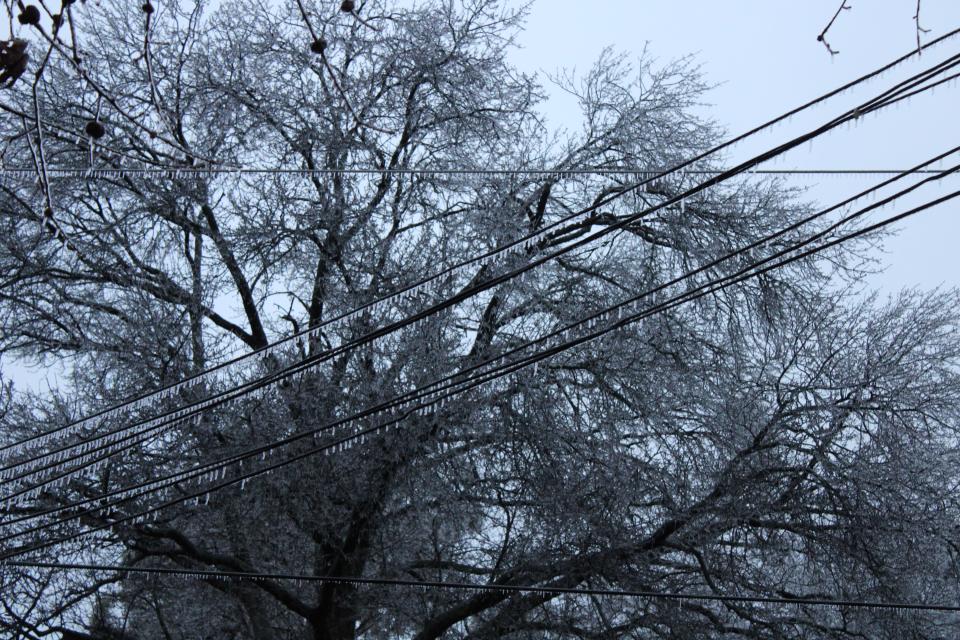 Small icicles dangle from powerlines and trees in midtown Memphis on Jan. 31, 2023, after an ice storm blew through the Mid-South overnight.