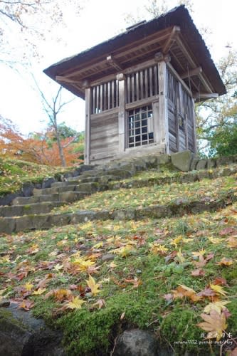 【右上就愛日本旅遊】【日本東北-岩手】東北賞楓疾行（D8-3）中尊寺金色