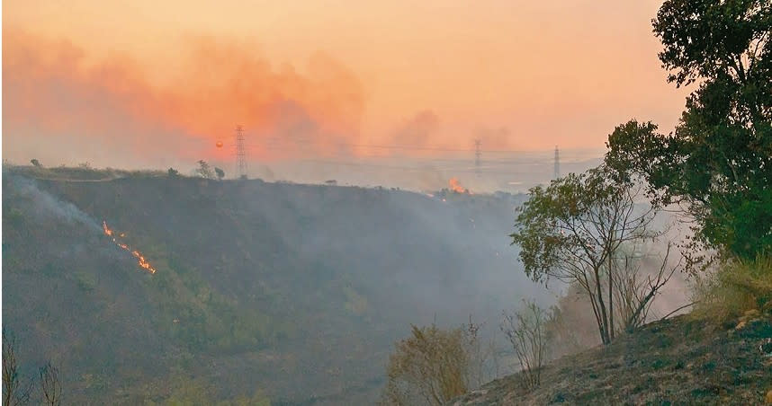 大肚山火燒山最近3天2起，蔓延數公頃；專家認為應開闢防火帶、復育森林阻絕火勢。（圖／台中市消防局提供）