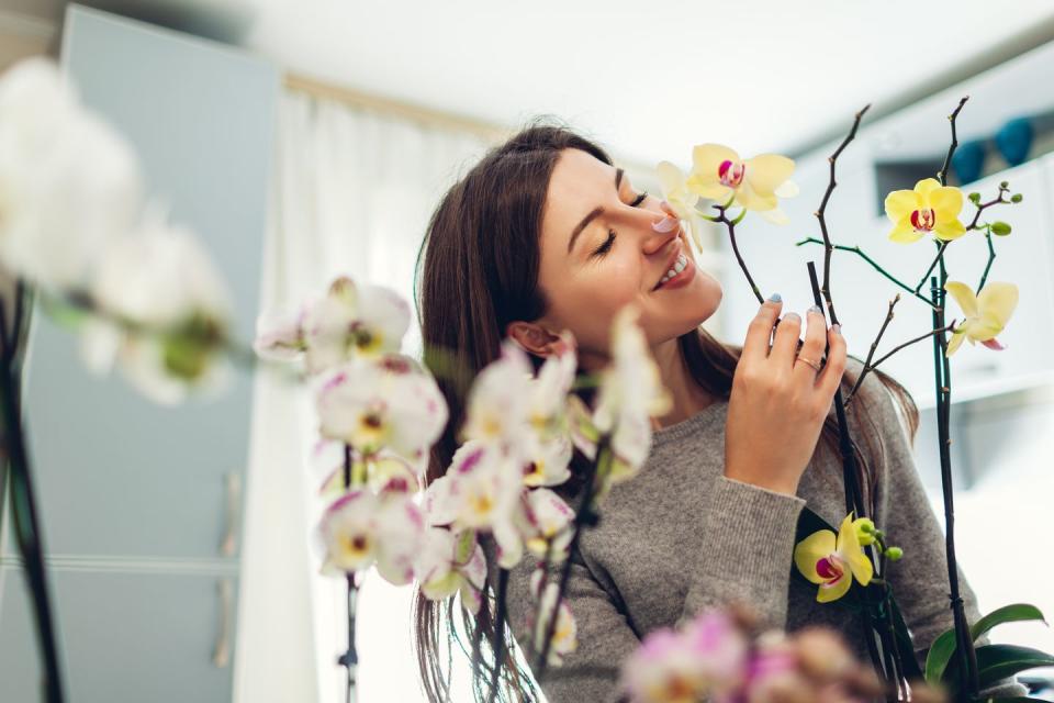 how to care for orchids