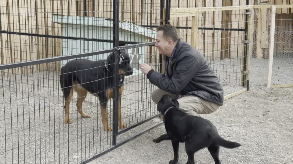 Siksika nation member Wayne Solway founded the dog shelter after seeing abandoned strays living in 'sad situations.' 