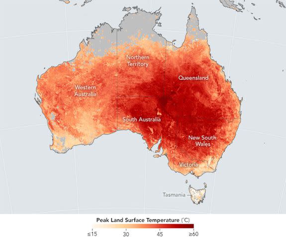 Peak land surface temperature during Feb. 7 to 14, 2017.